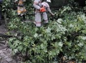 На Львовщине бушевал ураган  