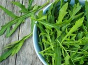 Кілька деталей — і ці ароматні листочки збережуться до зими