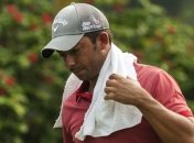 На гольфиста напали шершни (Видео)