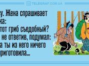 Добрый вечер, я диспетчер: забавные анекдоты 20 ноября