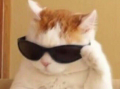 Стрільці та Козороги ось-ось можуть знайти хорошу роботу