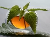 Як вживання зеленого чаю може продовжити життя