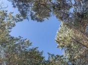 Прогреет до +13°: синоптики рассказали, когда придет потепление 