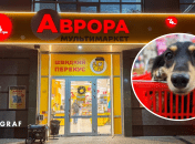 Аврора и собака