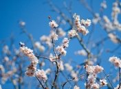 Прогноз погоды в Украине на 8 апреля: солнечно и тепло