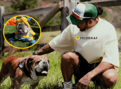 Льюис Хэмилтон сообщил о смерти своего бульдога Роско