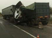 В Николаевской области в результате ДТП погиб водитель грузовика