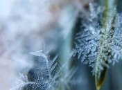 Погода на 8 января: в Украине морозы с небольшим снегом