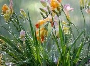 Єврейські кучки 2020 - що це та коли їх святкують