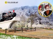 Лес в Карпатах