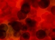 Ученым удалось изменить изначальные функции клеток и излечить мышей от диабета