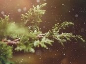 Какой завтра праздник: приметы и обряды на 26 января