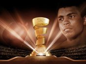 Бокс. Финал WBSS пройдет в мае в Саудовской Аравии