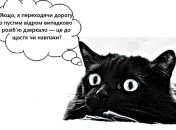 Я абсолютно не верю в приметы. И меня это, тьфу-тьфу-тьфу, ни разу не подводило: смешные шутки про суеверия