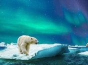 Глобальное потепление: холодных зим больше не будет