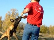 Почему некоторые люди боятся собак?