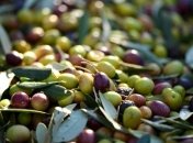 Продукты, которые нельзя есть сырыми