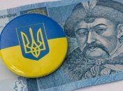 Помилка у декларації може стати причиною відмови у субсидії