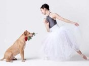 Dancers & Dogs: забавная фотосессия, где собаки танцуют лучше балерин