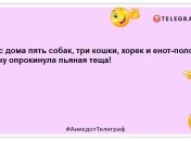 Обхохочешся: найкращі анекдоти на ранок, які піднімуть настрій
