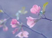 Прогноз погоды в Украине 3 мая: преимущественно без осадков 