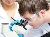 Ученые создали уникальный материал, убивающий бактерии и вирусы