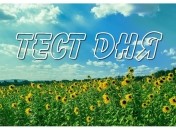 Гадание по картинке