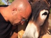 Нагиев опубликовал смешное фото с ослом