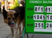 Курсовая паника может "прикрыть" обменники