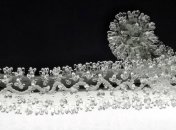 Вирус Эбола зарегистрирован в Конго