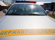 Пьяная женщина покалечила инспектора ГАИ