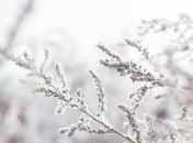 Какой праздник 12 декабря: народные приметы и запреты