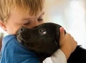 Домашние животные защищают детей от аллергии