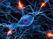 Ученые сообщили, что клетки человека продолжают функционировать после смерти