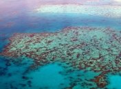 "Осветление" облаков снизит смертность кораллов Большого Барьерного рифа