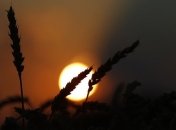 День Солнца сегодня будут праздновать харьковчане