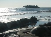 ВСУ провели учения у берегов Азовского моря (Видео)