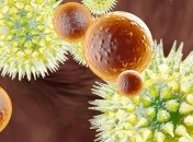 Наночастицы умеют обманывать иммунную систему человека