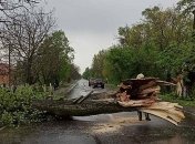 На Закарпатье из-за непогоды обесточены 11 сел 