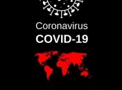 За час пандемії у світі коронавірусом інфікувалося більше 530 тисяч осіб