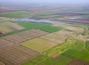  Украинцы стали лидерами по покупке земли в Польше