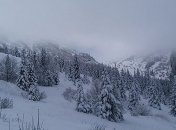В мае Карпаты засыпает снегом