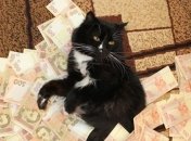 Каким знакам Зодиака повезет с финансами в сентябре 2022 года