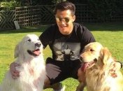 Псы Атом и Хамбер вслед за Санчесом совершили "трансфер" из Арсенала в МЮ