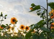 Какие завтра праздники: традиции и приметы на 11 июля