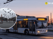 Славянск и троллейбус