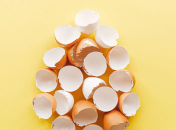 Яєчна шкаралупа