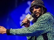 Продюсеру Snoop Dogg и 2Pac грозит 30 лет тюрьмы