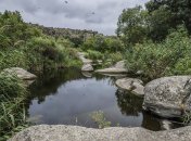 Река Мертвовод