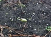 В Донецкой области во дворе жилого дома прогремел взрыв